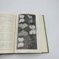 Preview: Wiener Entomologischen Gesellschaft (Hrsg.), : Zeitschrift d. Wiener Entomologischen Gesellschaft, 33. - 35. Jahrgang, 59. -61. Band 1948-50. Drei vollständige Jahrgänge gebunden! 