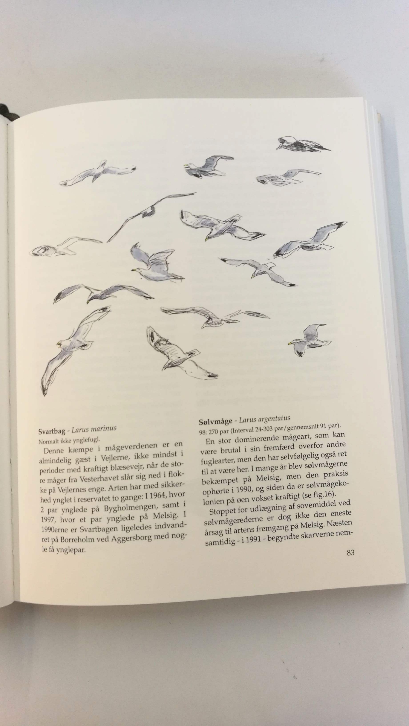Hald-Mortensen, P.: Vejlernes Natur Status over reservatets mangfoldighet - 1998