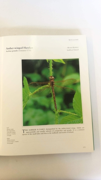 Brian Nelson, Robert Thompson: The Natural History of Ireland's Dragonflies 