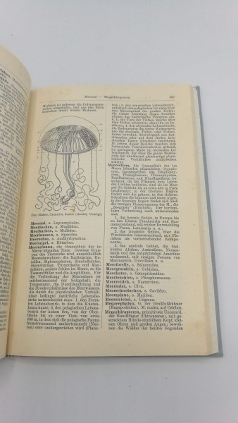 Schmidt, Heinrich: Wörterbuch der Biologie. 