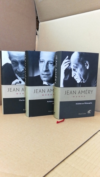 Jean Améry, Irene Heidelberger-Leonard (Hrsg.): Werke.