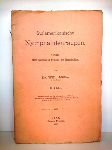 Müller, Dr. Wilhelm: Südamerikanische Nymphalidenraupen. Versuch eines natürlichen Systems der Nymphaliden